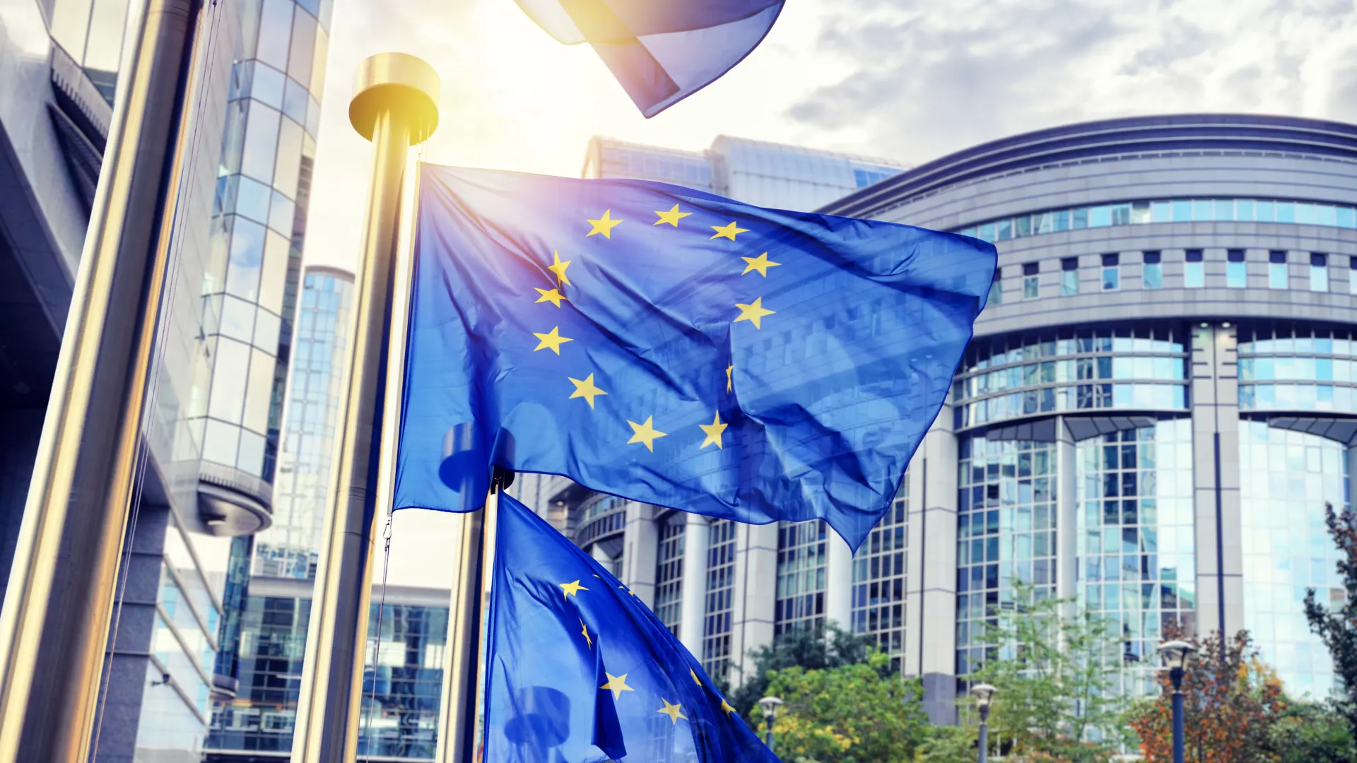 Europaflaggen im Gegenlicht wehen vor dem Europaparlamentsgebäude